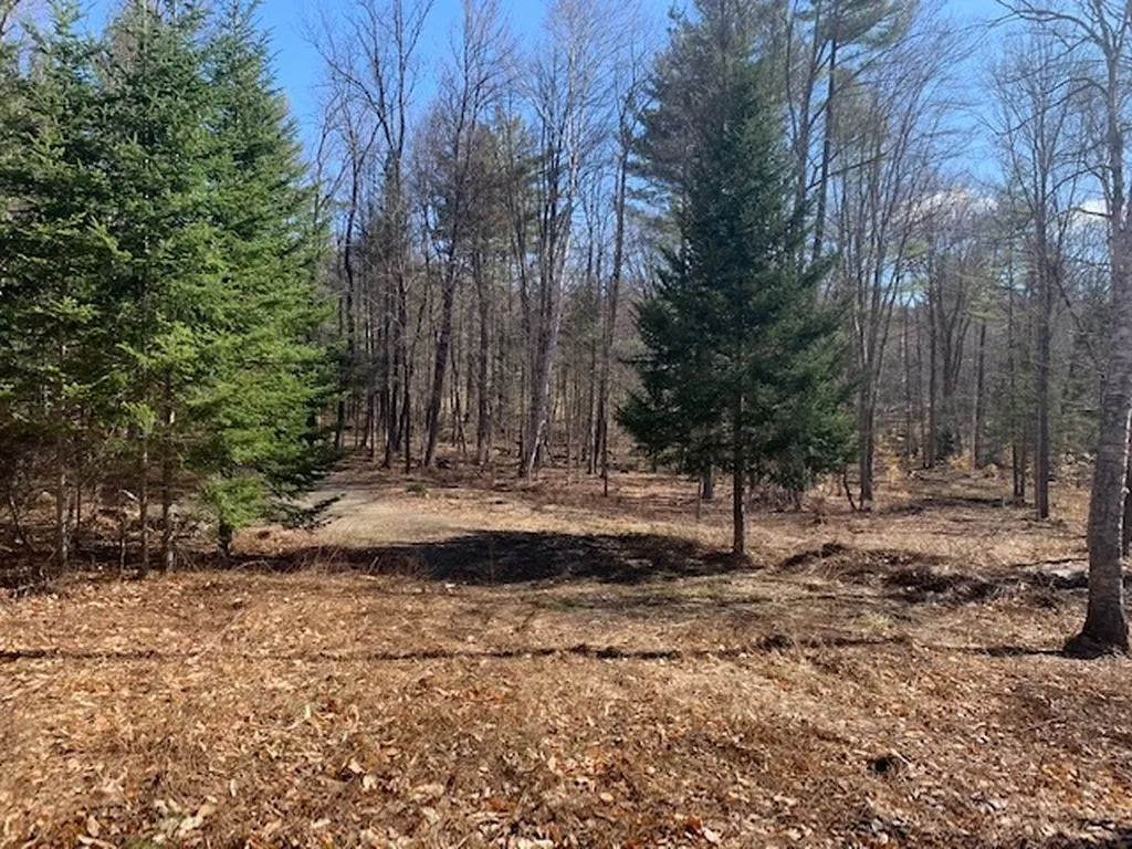 32 Old County East Road Landgrove VT 05148