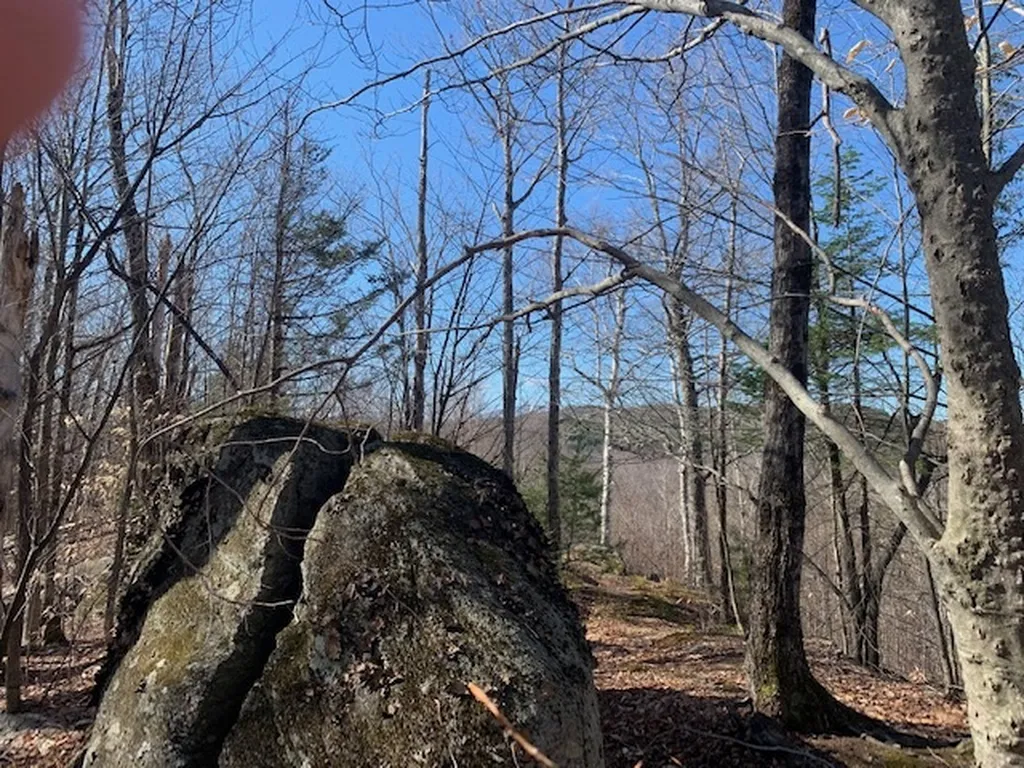 32 Old County East Road Landgrove VT 05148