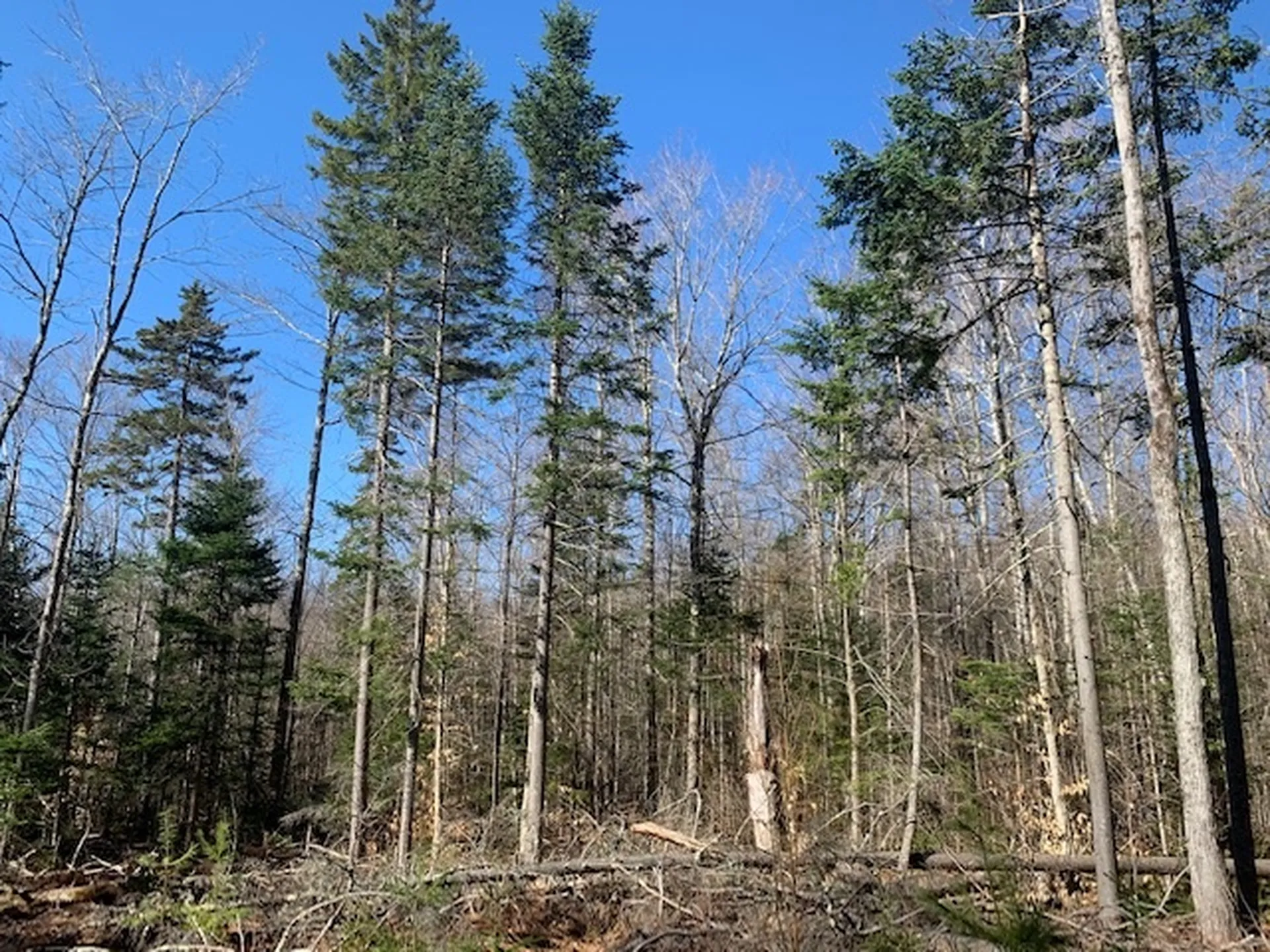 32 Old County East Road Landgrove VT 05148
