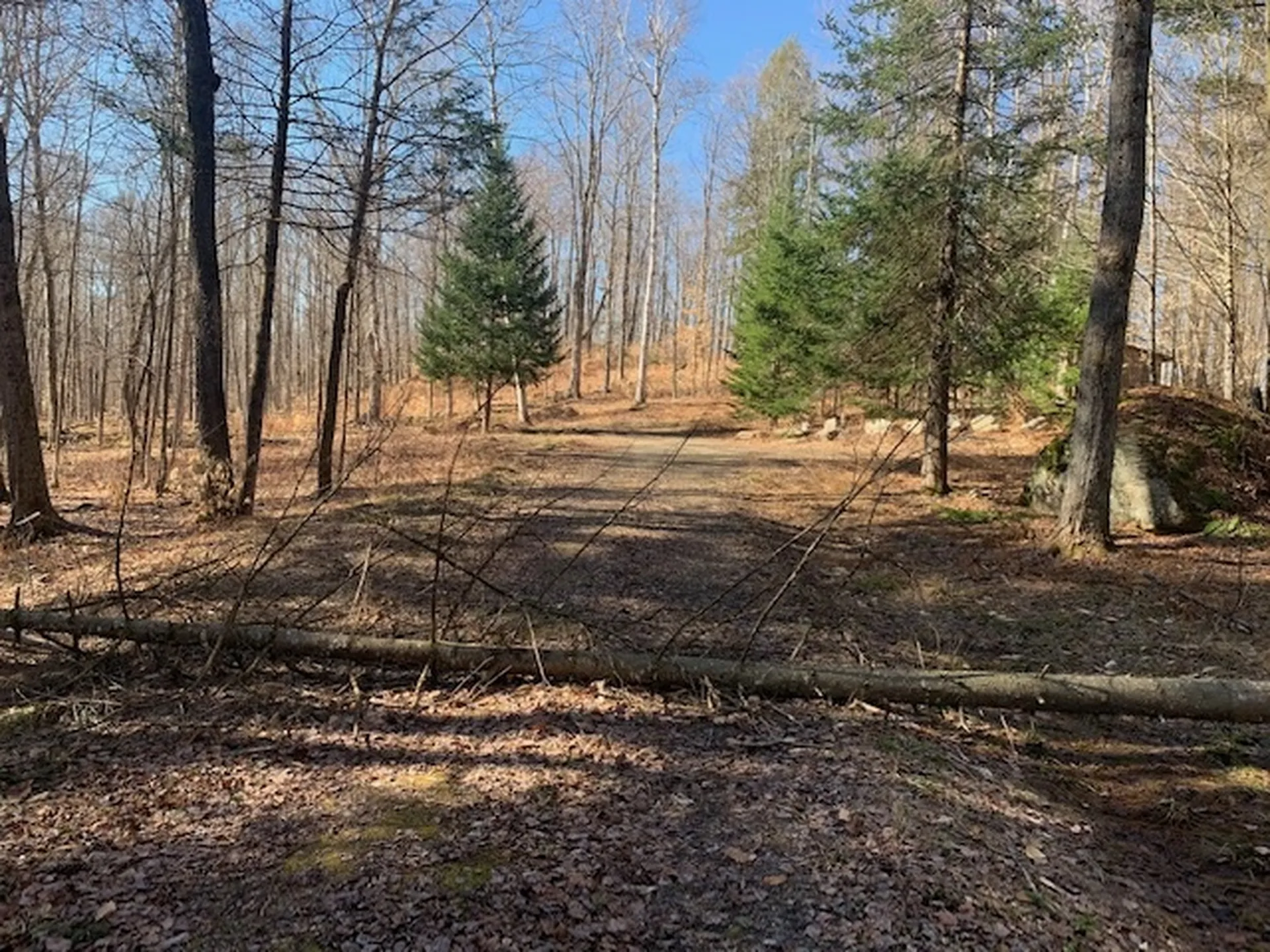 32 Old County East Road Landgrove VT 05148