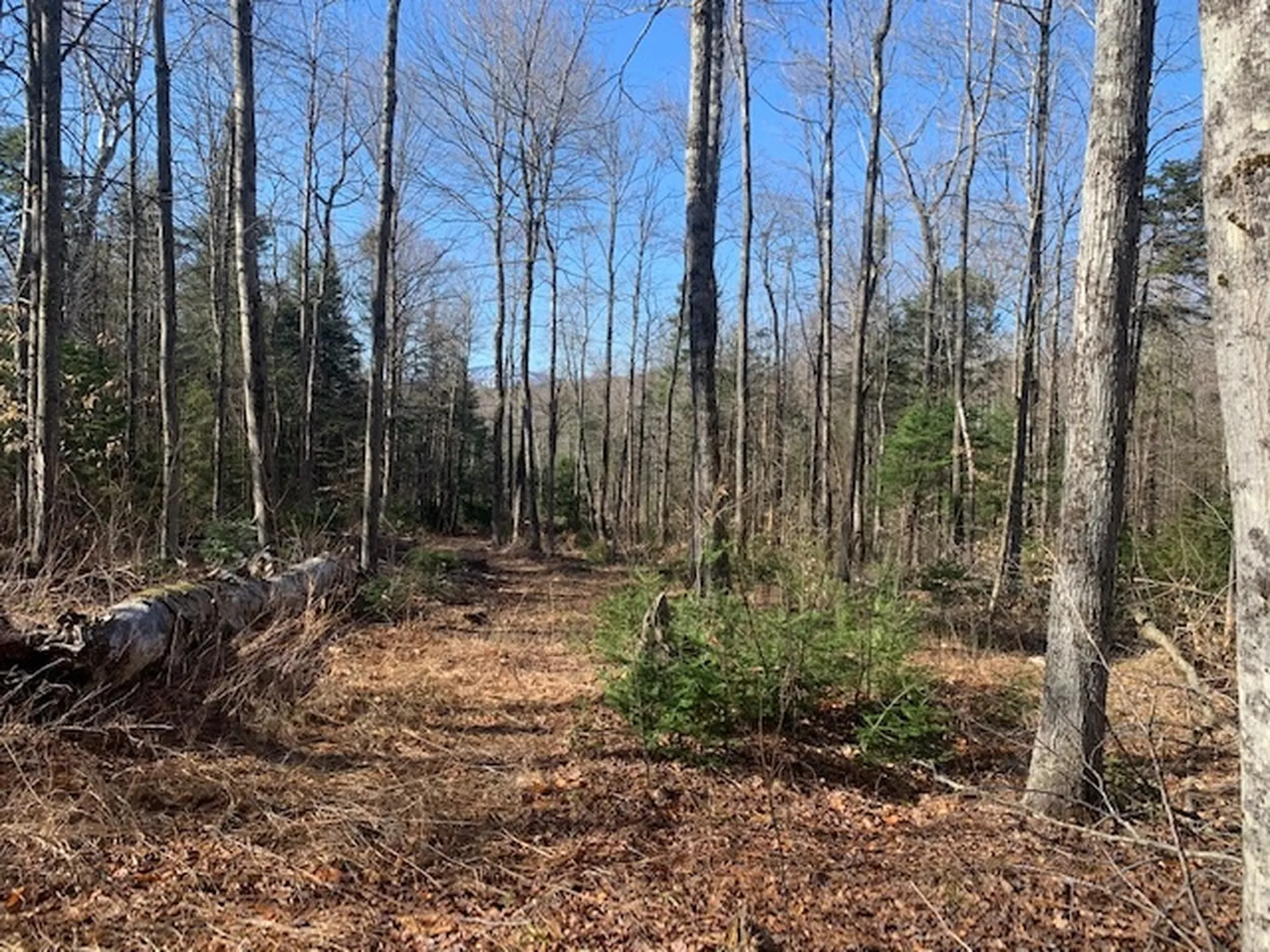 32 Old County East Road Landgrove VT 05148
