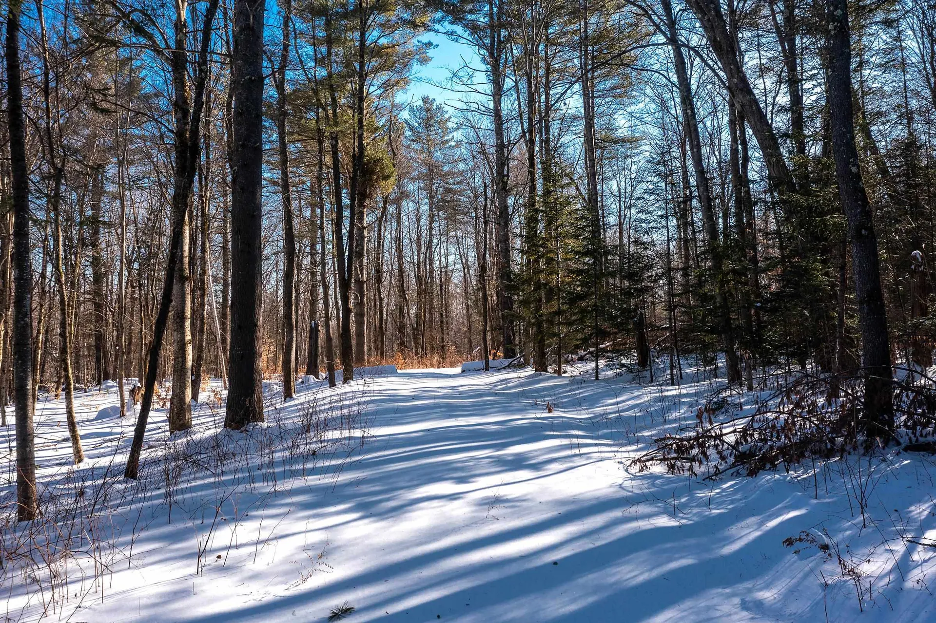 32 Old County East Road Landgrove VT 05148