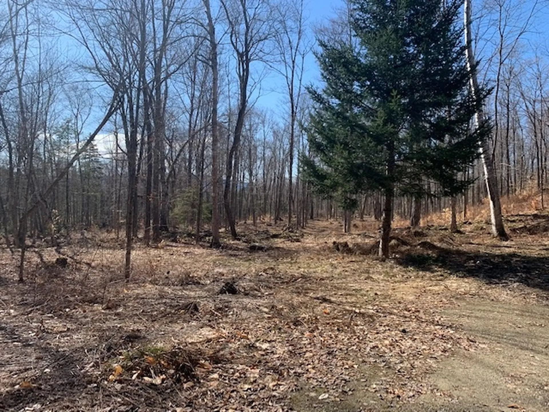 32 Old County East Road Landgrove VT 05148
