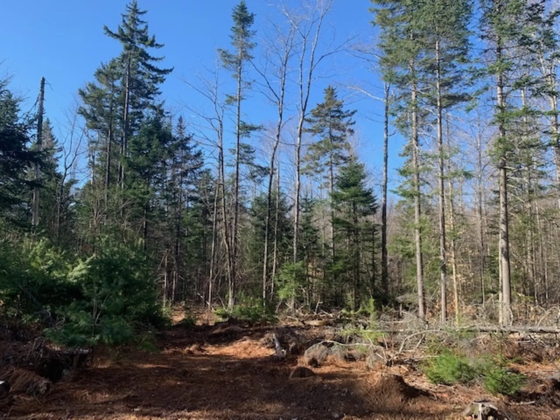 32 Old County East Road Landgrove VT 05148