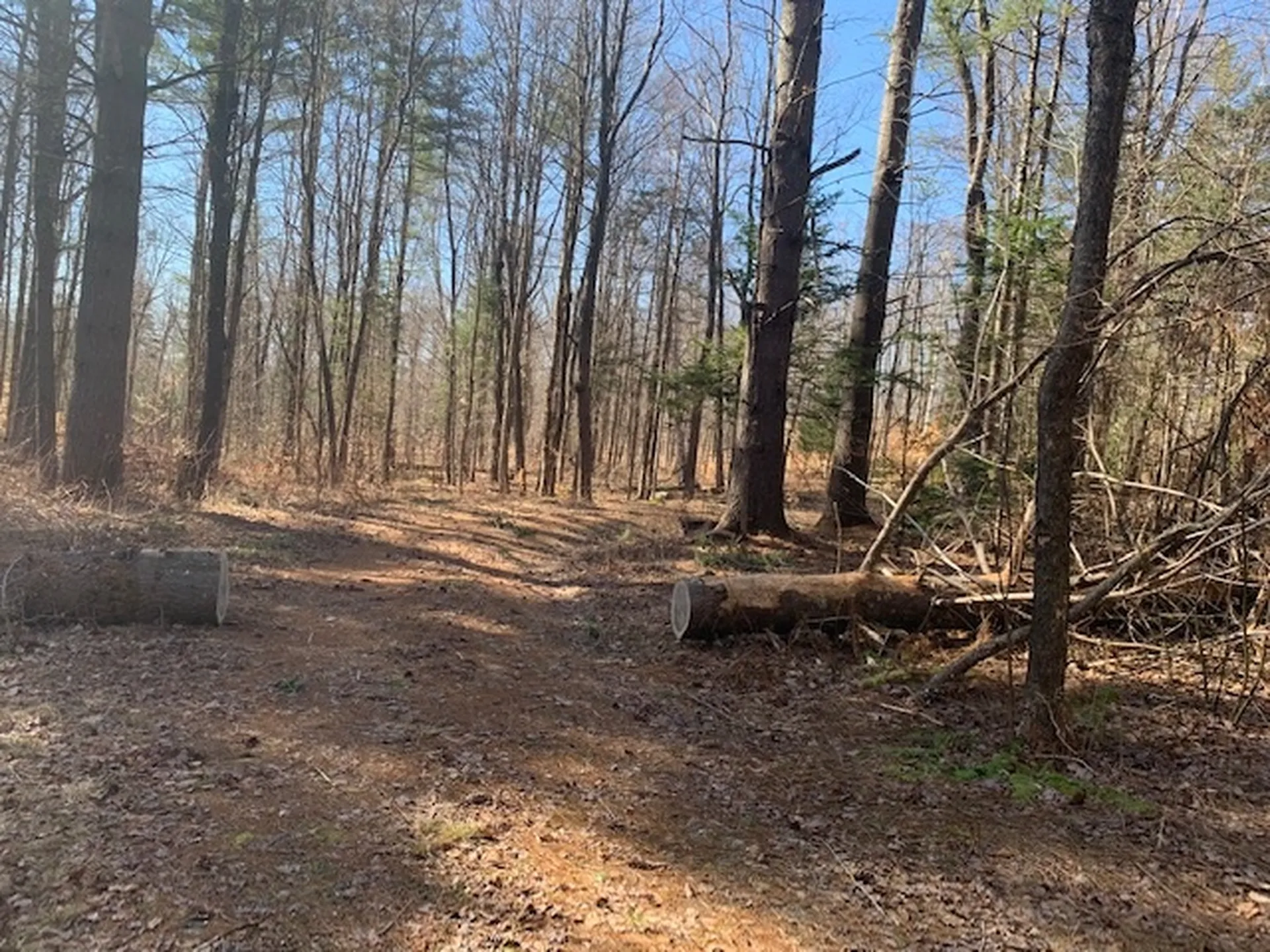 32 Old County East Road Landgrove VT 05148