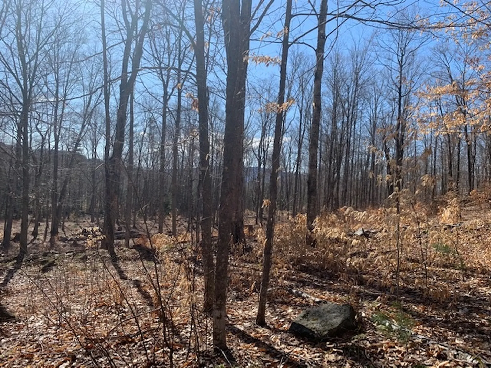 32 Old County East Road Landgrove VT 05148