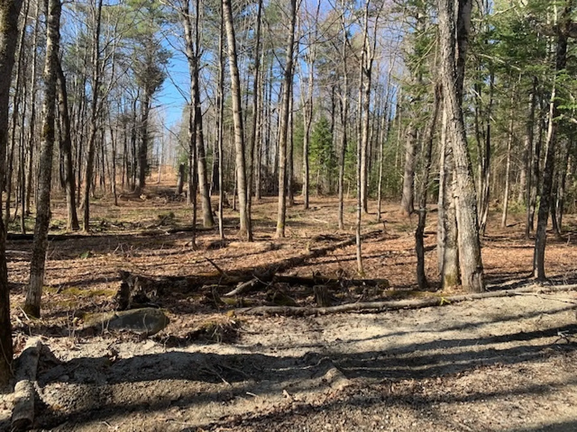 32 Old County East Road Landgrove VT 05148
