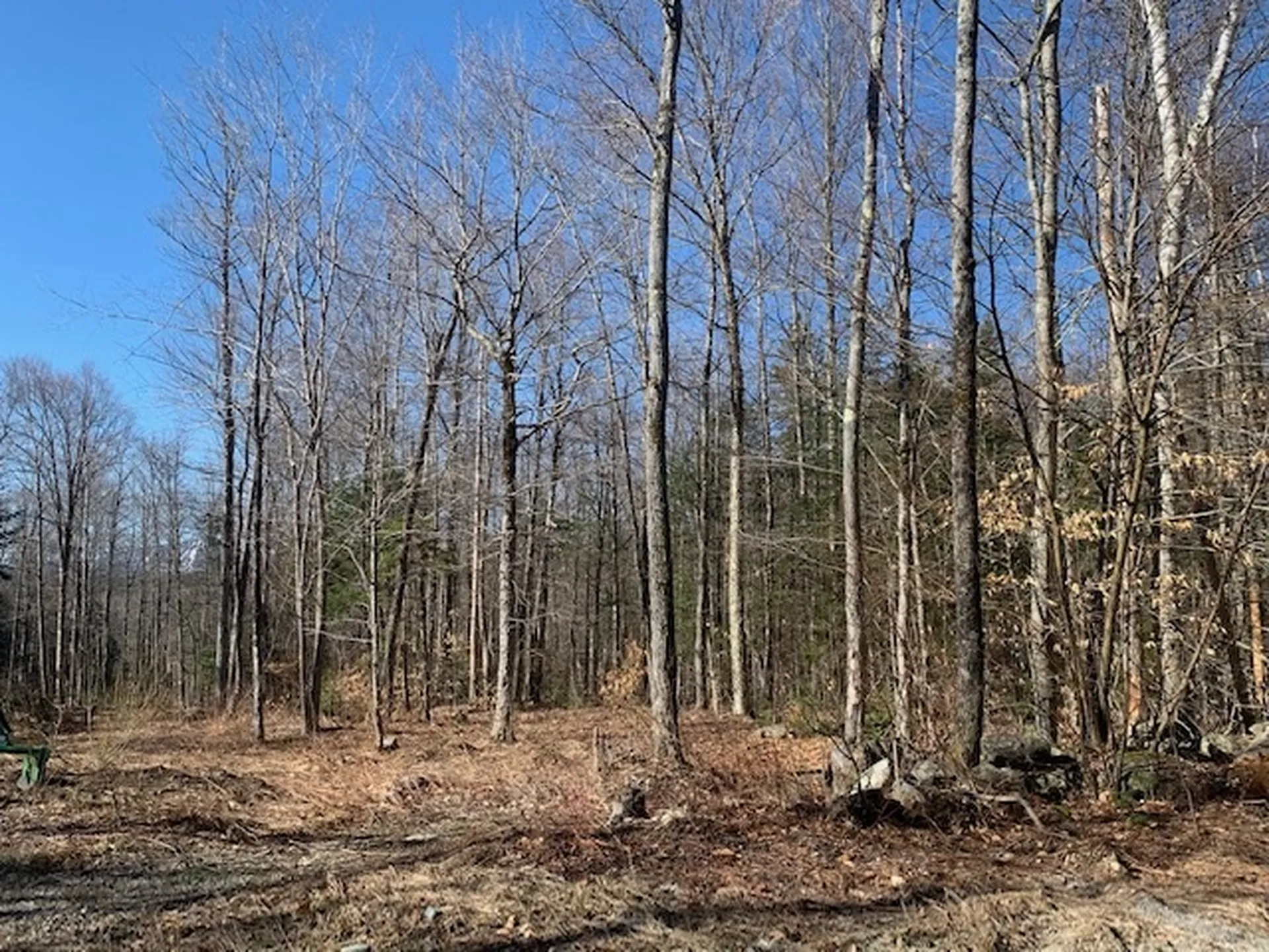 32 Old County East Road Landgrove VT 05148