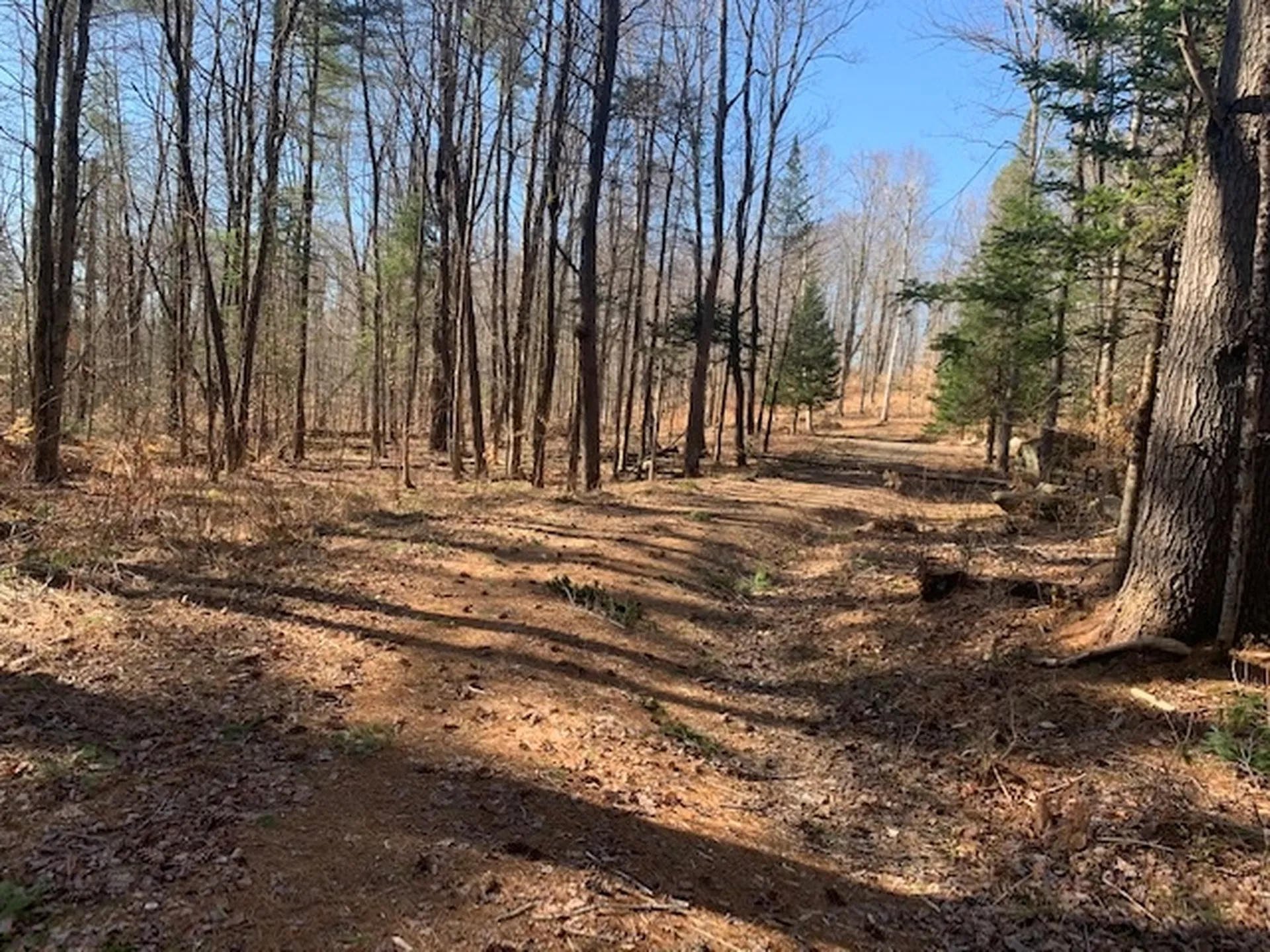 32 Old County East Road Landgrove VT 05148
