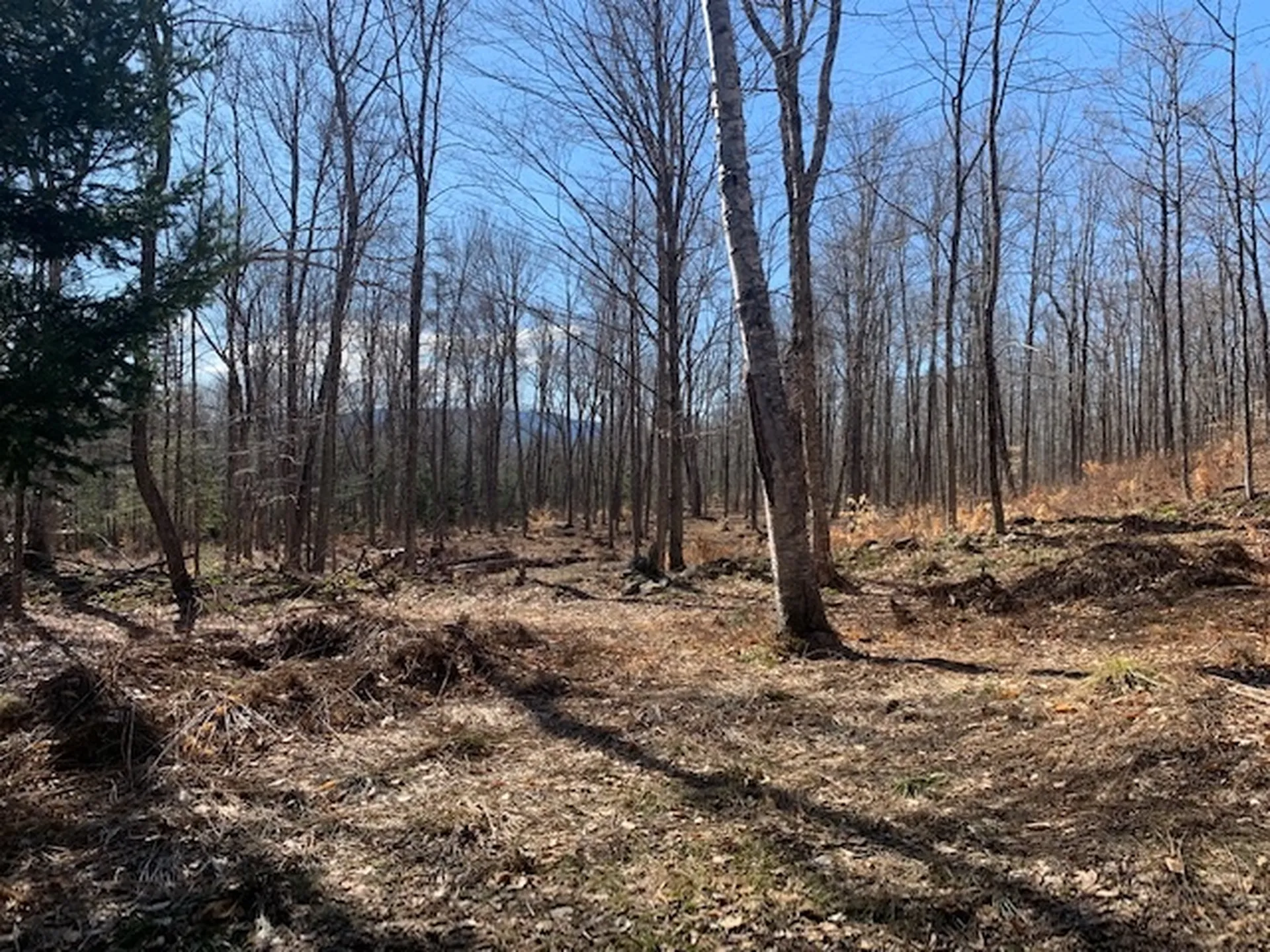 32 Old County East Road Landgrove VT 05148