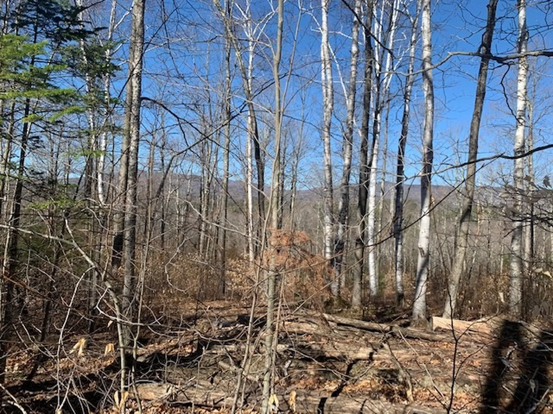 32 Old County East Road Landgrove VT 05148