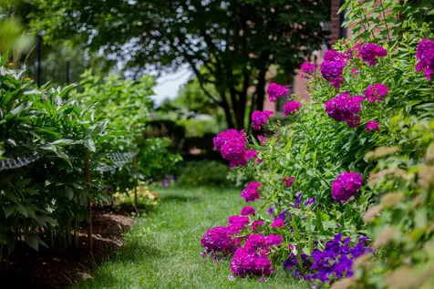 40 College Street Burlington VT 05401