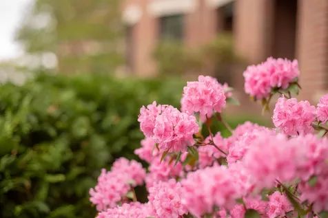 40 College Street Burlington VT 05401