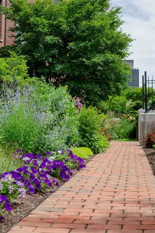 40 College Street Burlington VT 05401