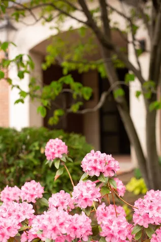 40 College Street Burlington VT 05401