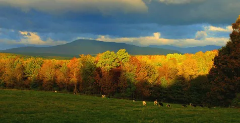 1301 West Hill Road Hardwick VT 05843