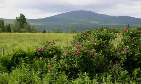 1301 West Hill Road Hardwick VT 05843