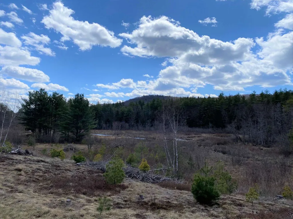 39 Felch Road Sutton NH 03260