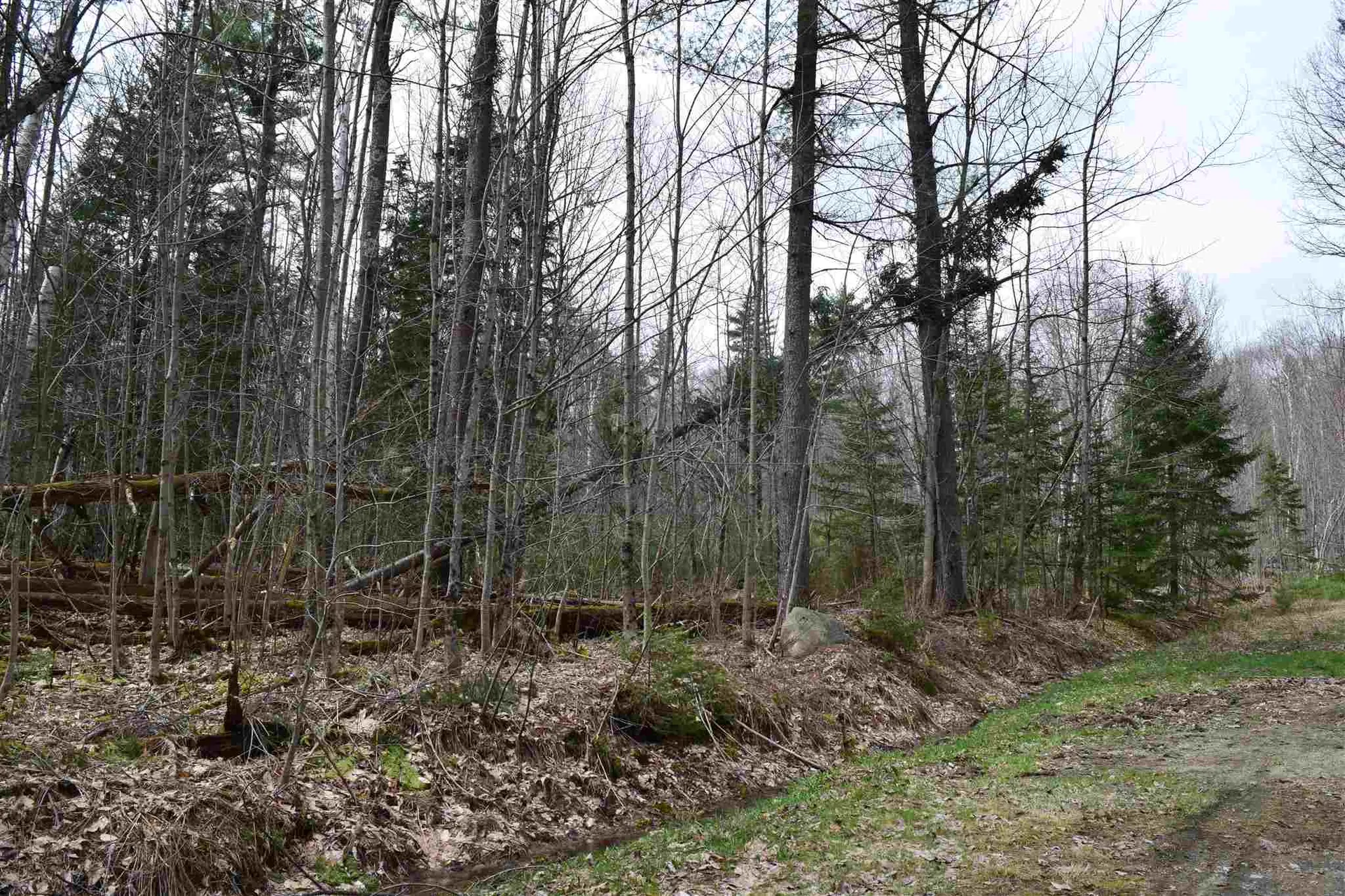 Lot 174 Bridgeview Drive Haverhill NH 03765