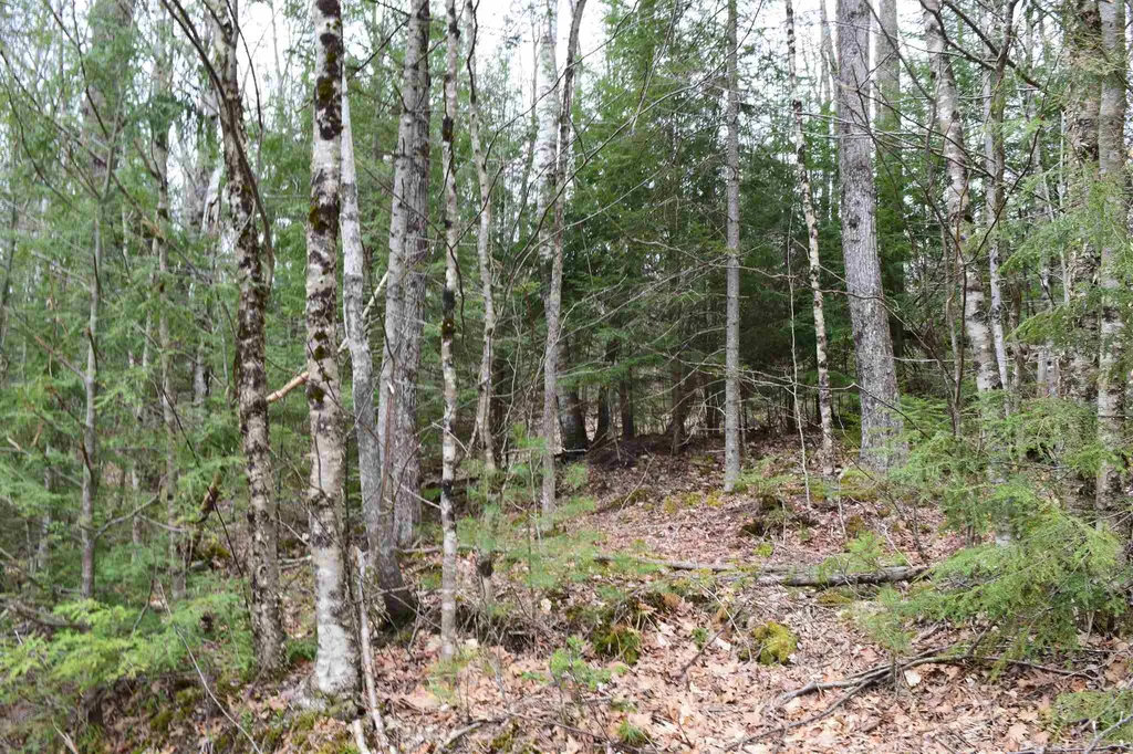 Lot 114 Bear Road Haverhill NH 03765