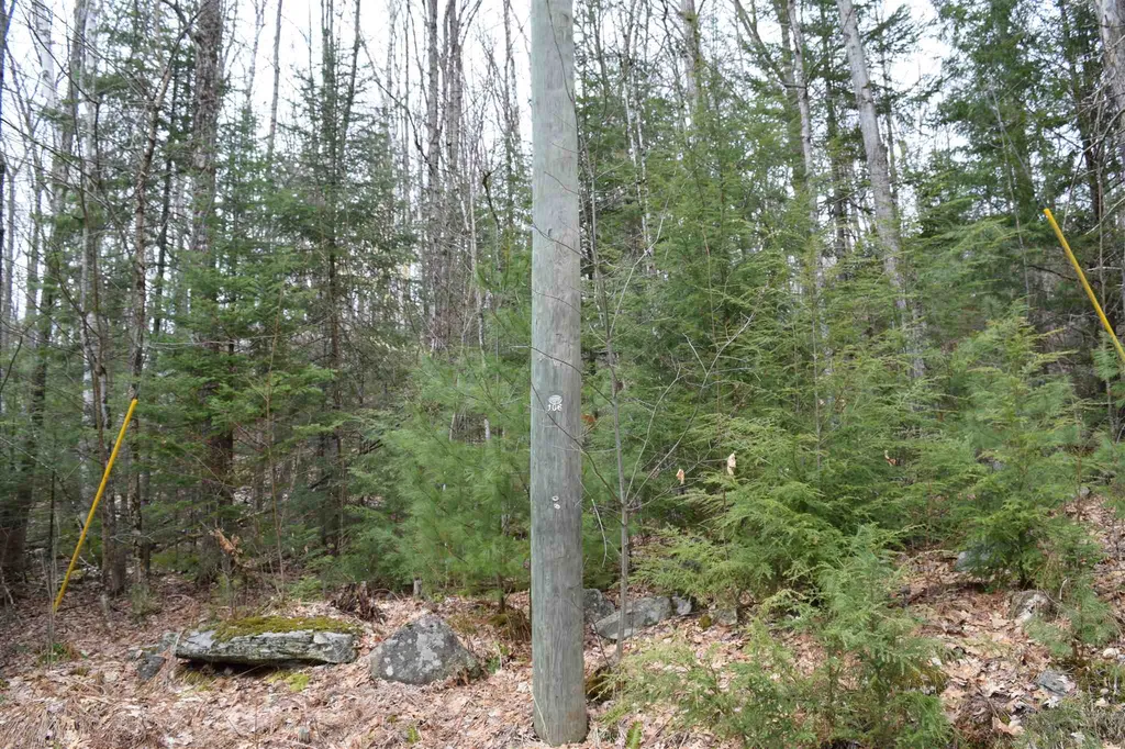 Lot 114 Bear Road Haverhill NH 03765