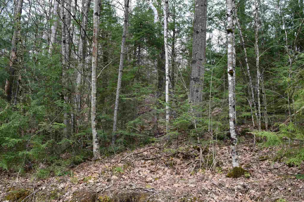 Lot 114 Bear Road Haverhill NH 03765