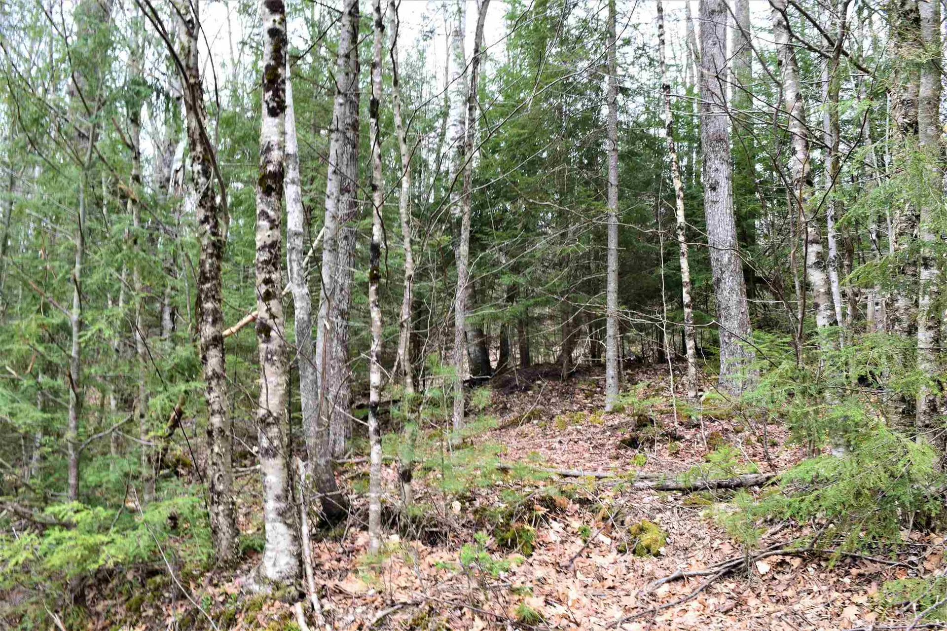Lot 114 Bear Road Haverhill NH 03765