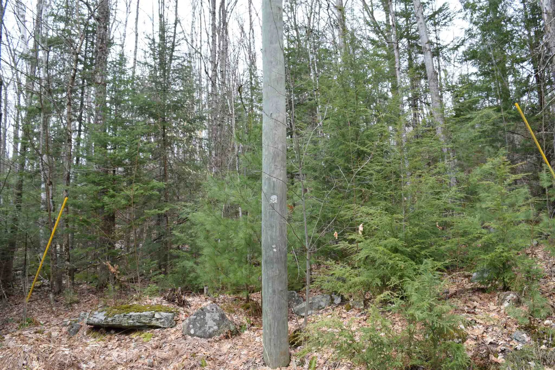 Lot 114 Bear Road Haverhill NH 03765