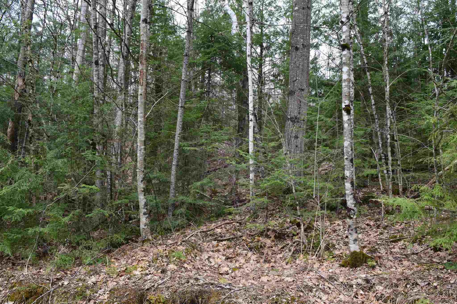Lot 114 Bear Road Haverhill NH 03765