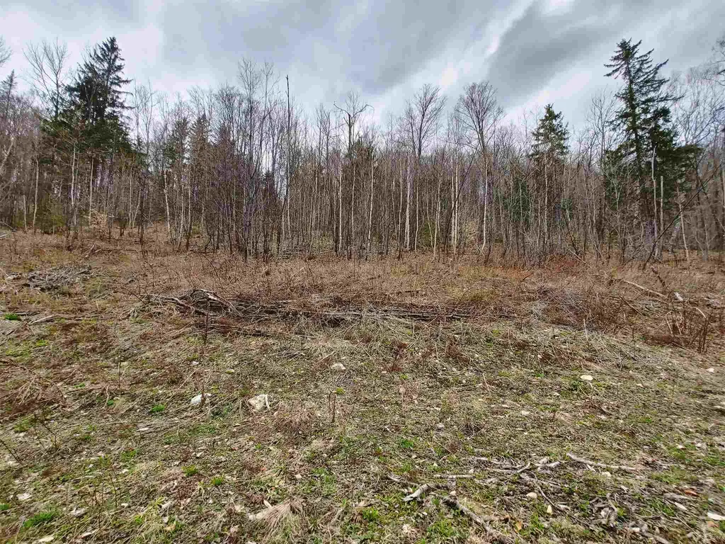 0 Woodchuck Hollow Road Washington VT 05679