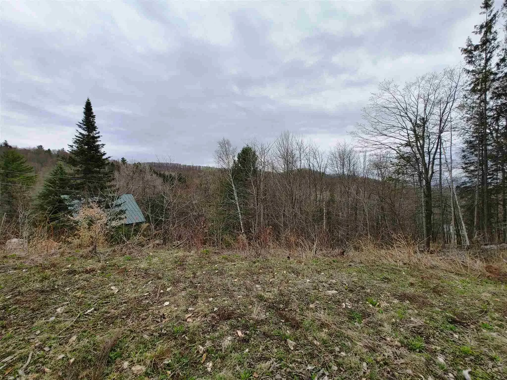 0 Woodchuck Hollow Road Washington VT 05679