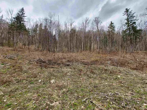 0 Woodchuck Hollow Road Washington VT 05679