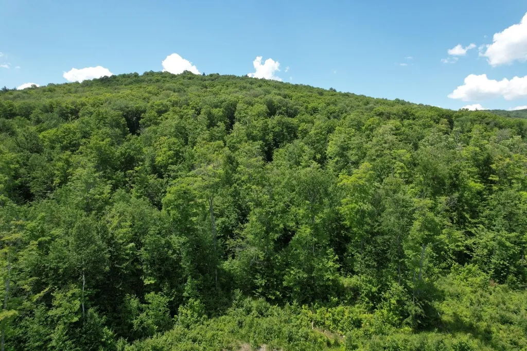 00 North County Road Groton VT 05046