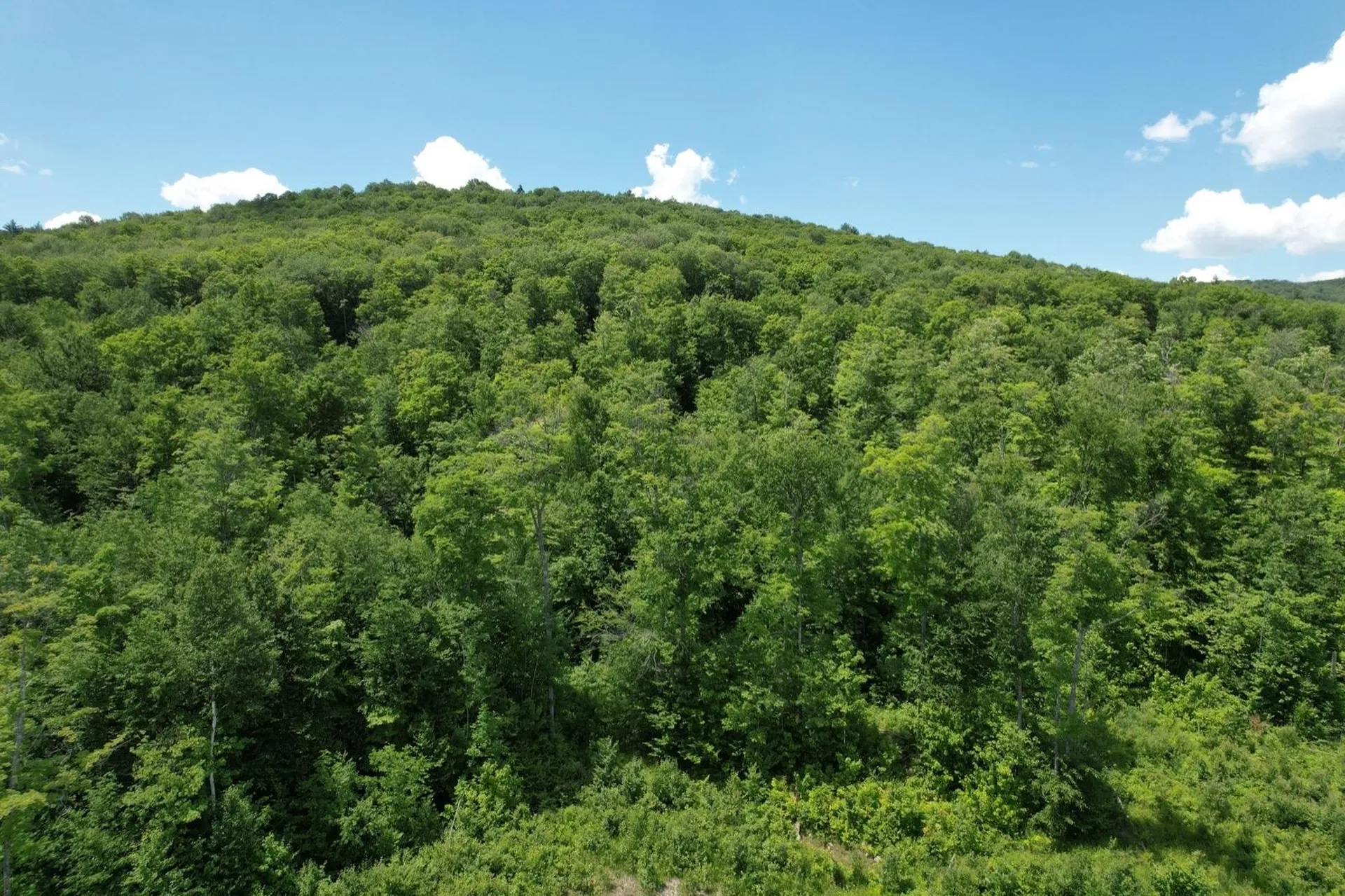00 North County Road Groton VT 05046