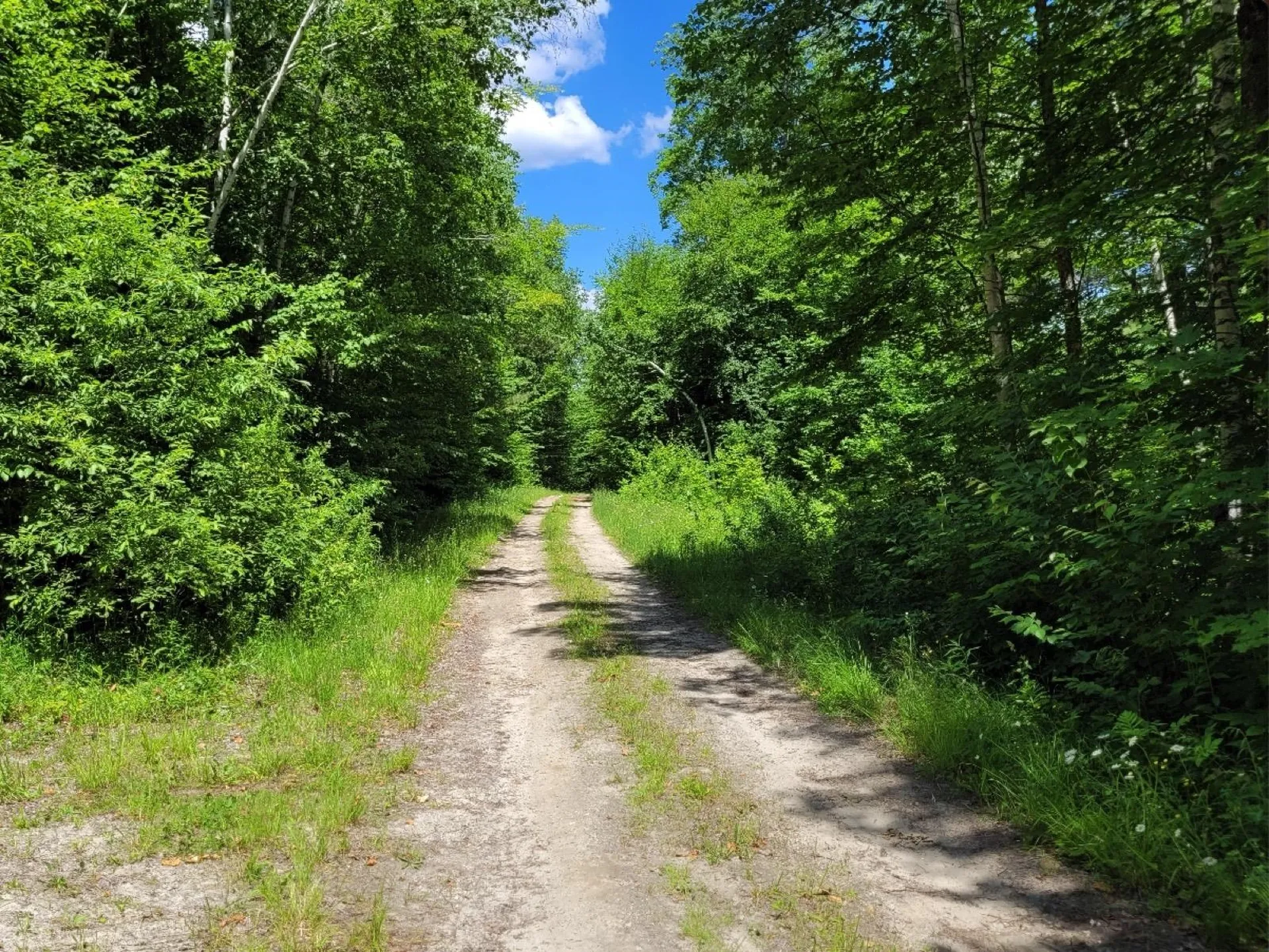 00 North County Road Groton VT 05046