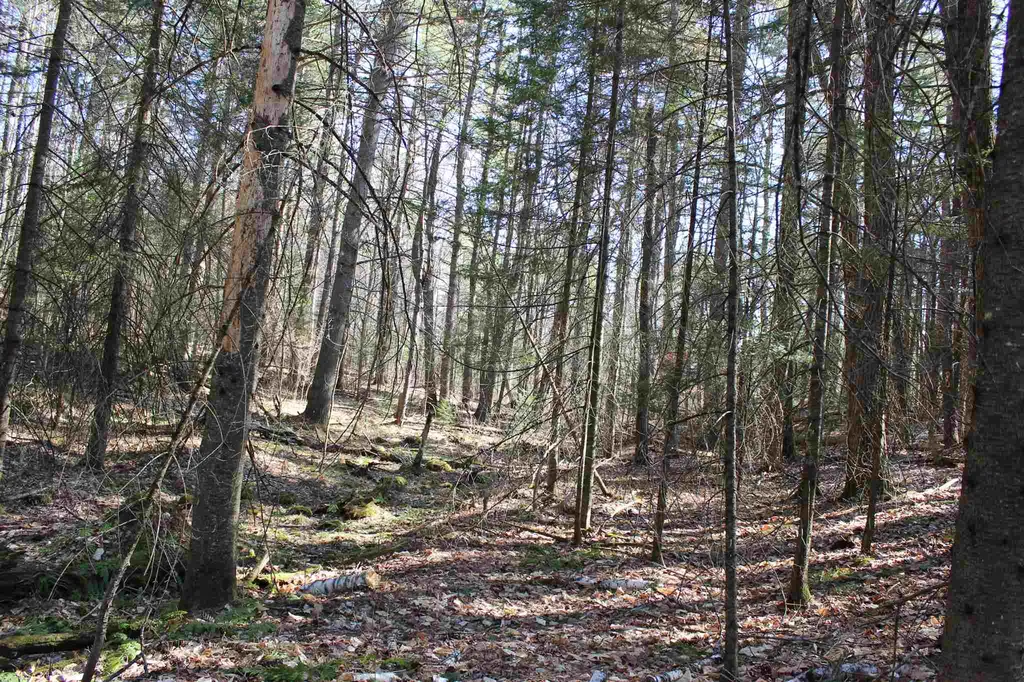0 Tarbox Road Bradford VT 05033