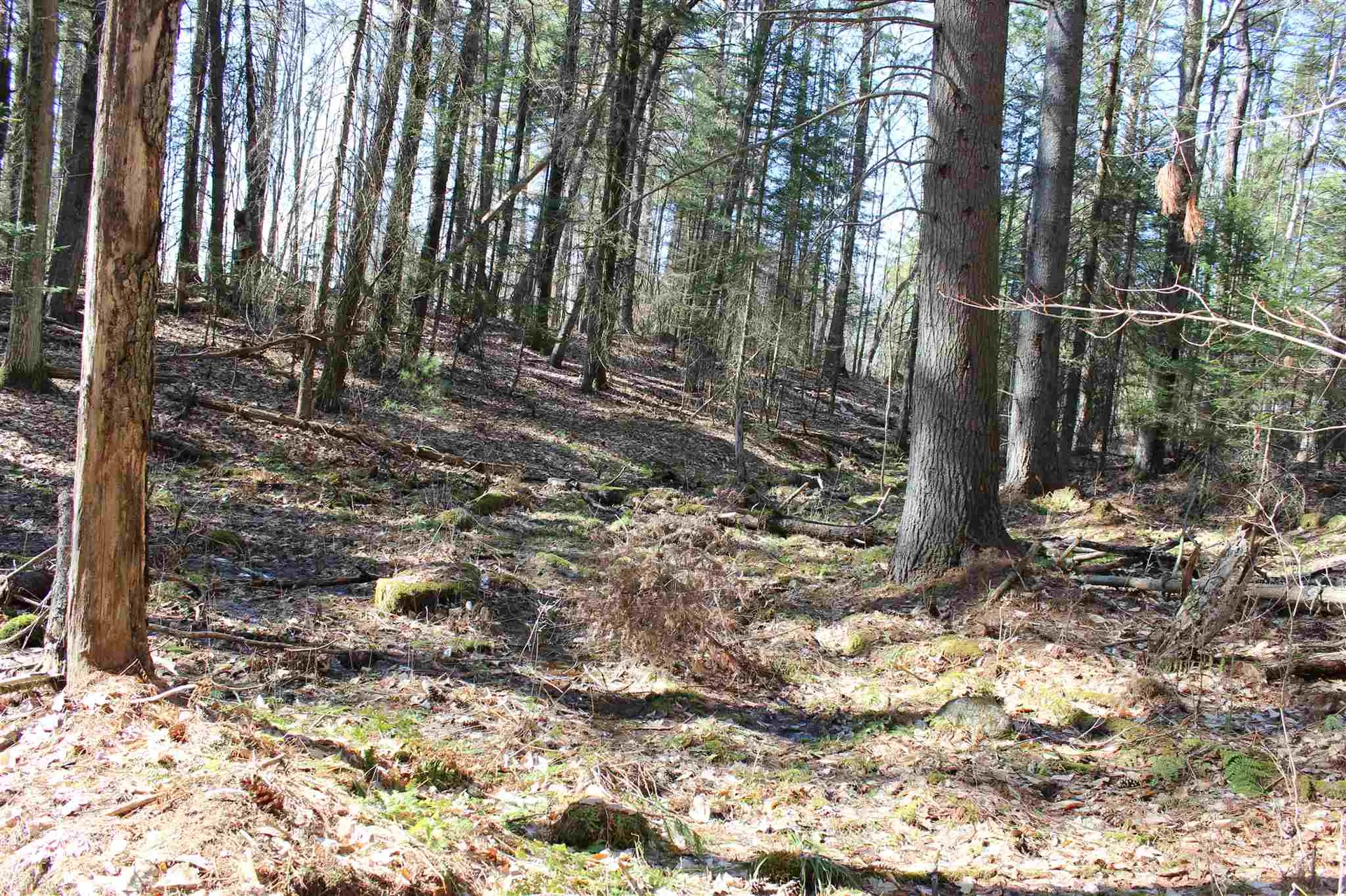 0 Tarbox Road Bradford VT 05033