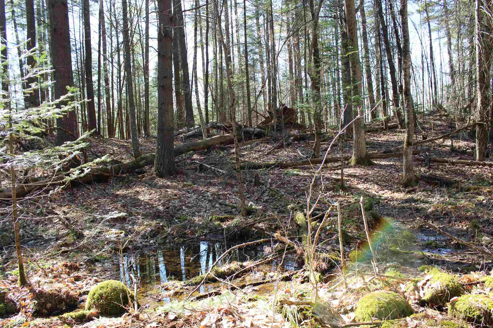 0 Tarbox Road Bradford VT 05033