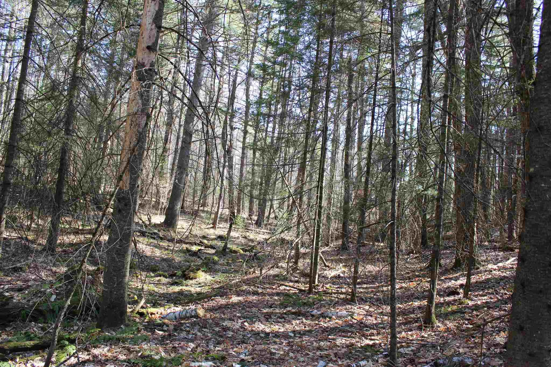 0 Tarbox Road Bradford VT 05033