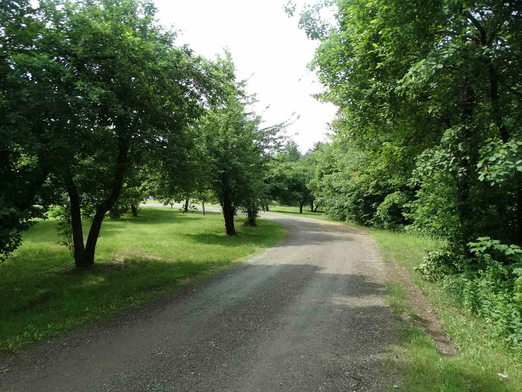 813 Belle Vista Road Jay VT 05859