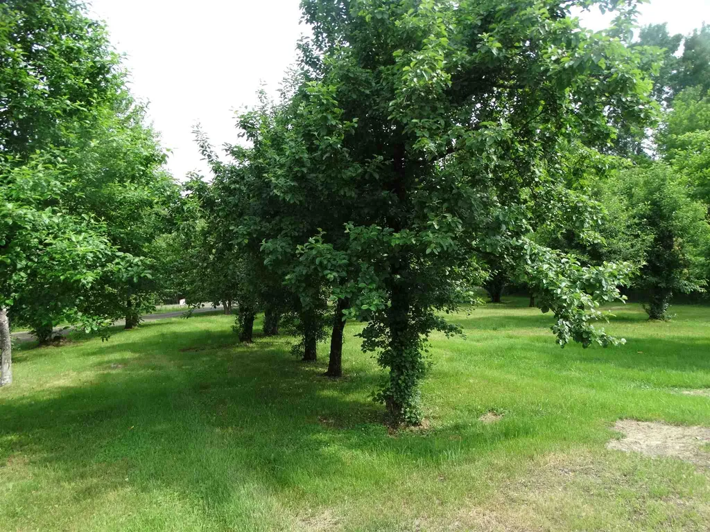 813 Belle Vista Road Jay VT 05859