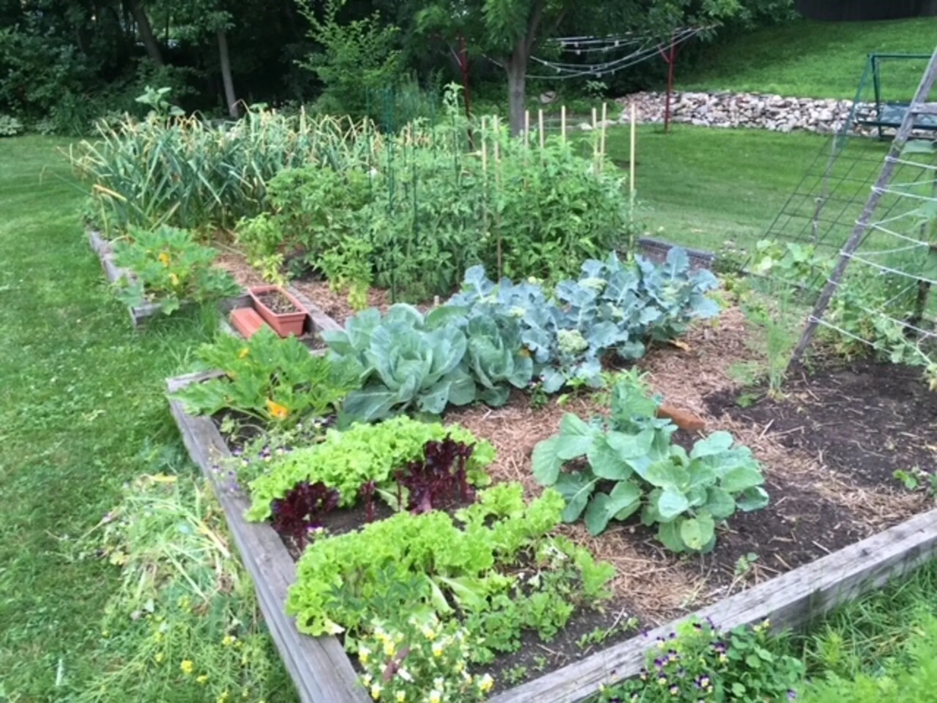 163 Malletts Bay Avenue Winooski VT 05404
