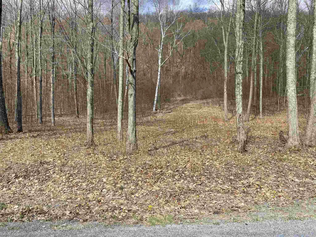 0 Wilcox Road Arlington VT 05250