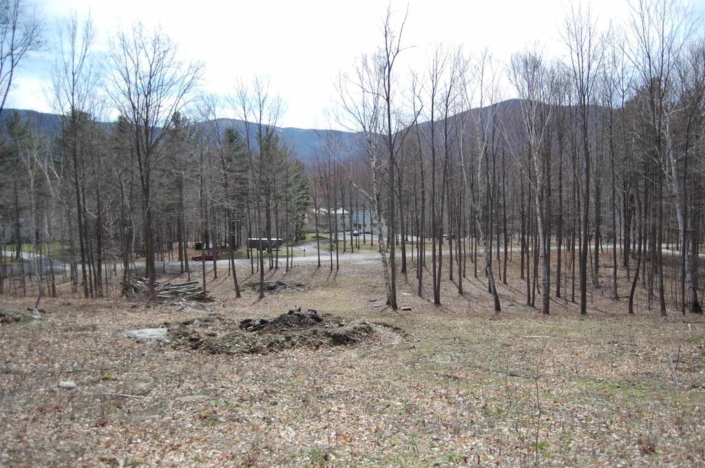 0 Wilcox Road Arlington VT 05250