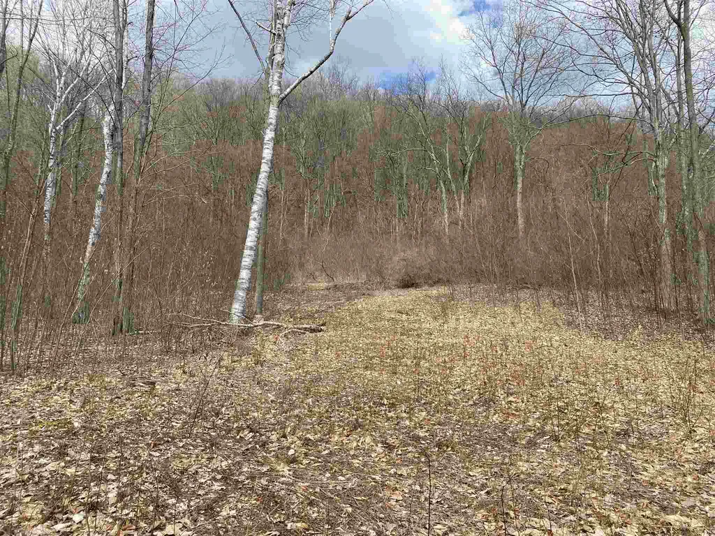 0 Wilcox Road Arlington VT 05250