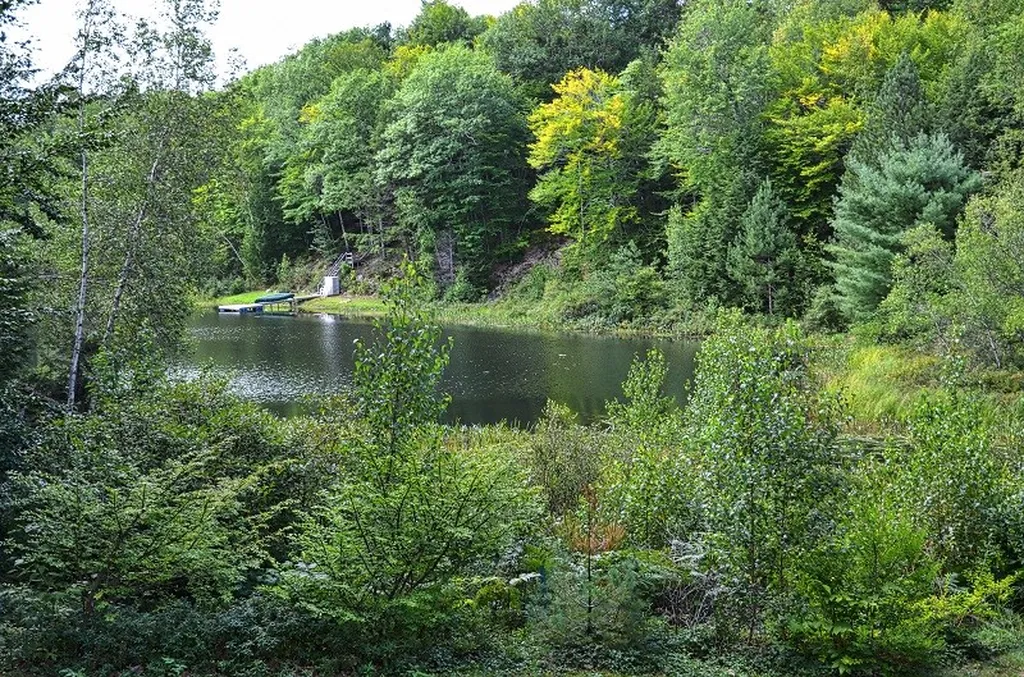 49 Little Shore Drive Madison NH 03849