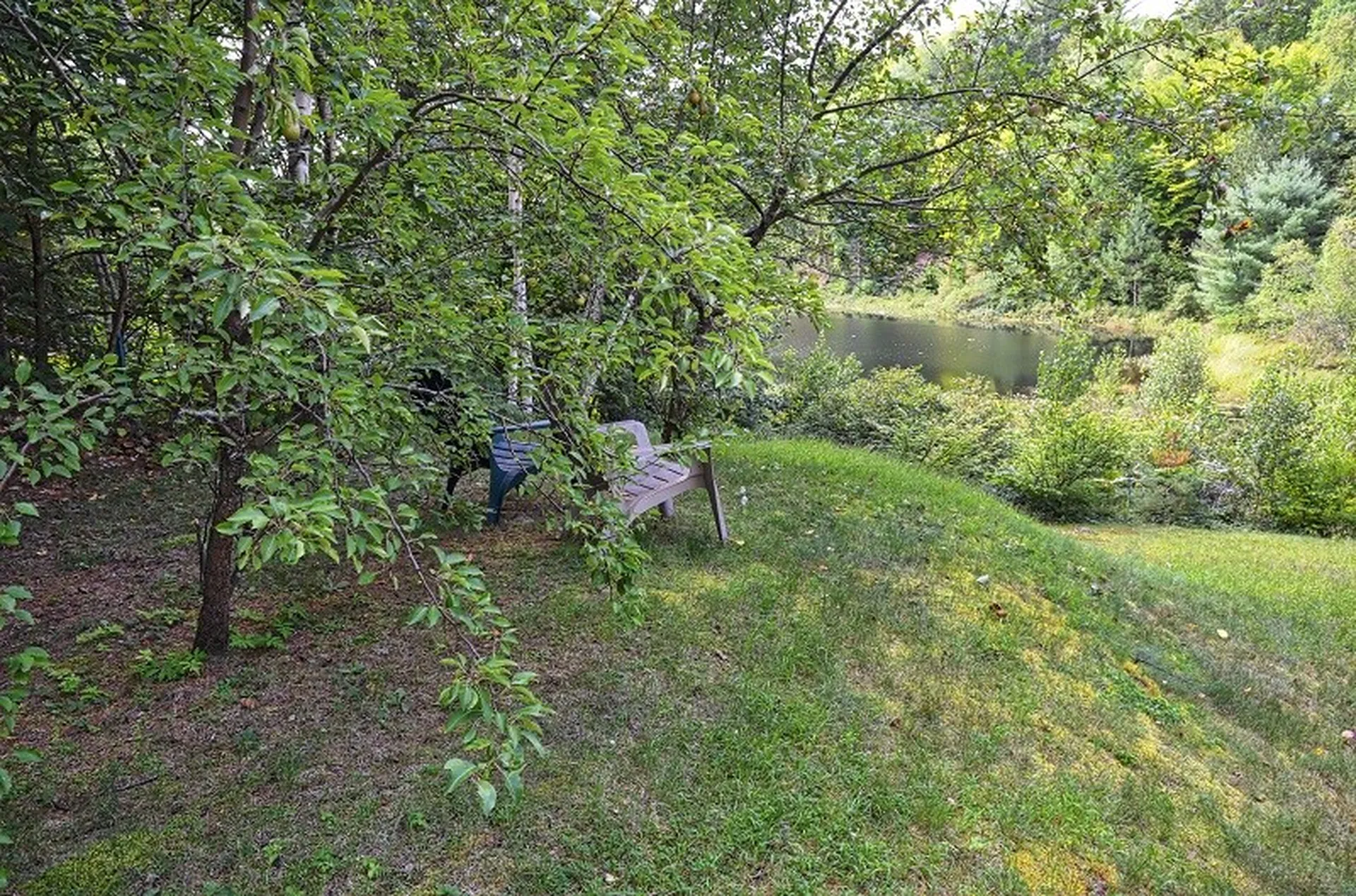 49 Little Shore Drive Madison NH 03849
