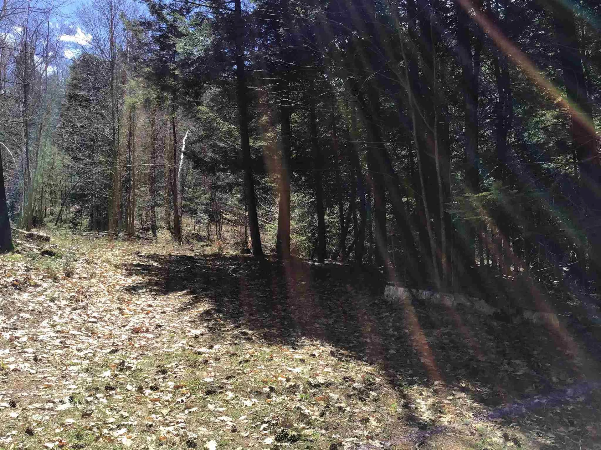 0 Nolan Bend Hartford VT 05001