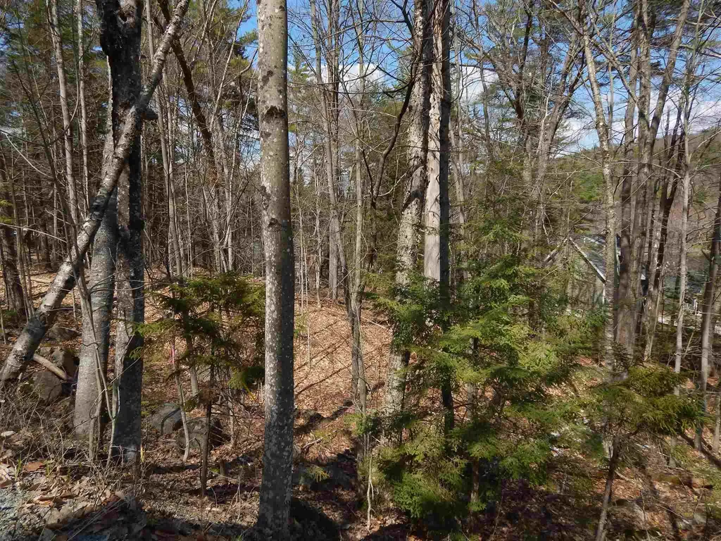 Lot 61 Hilltop Drive Newbury NH 03255