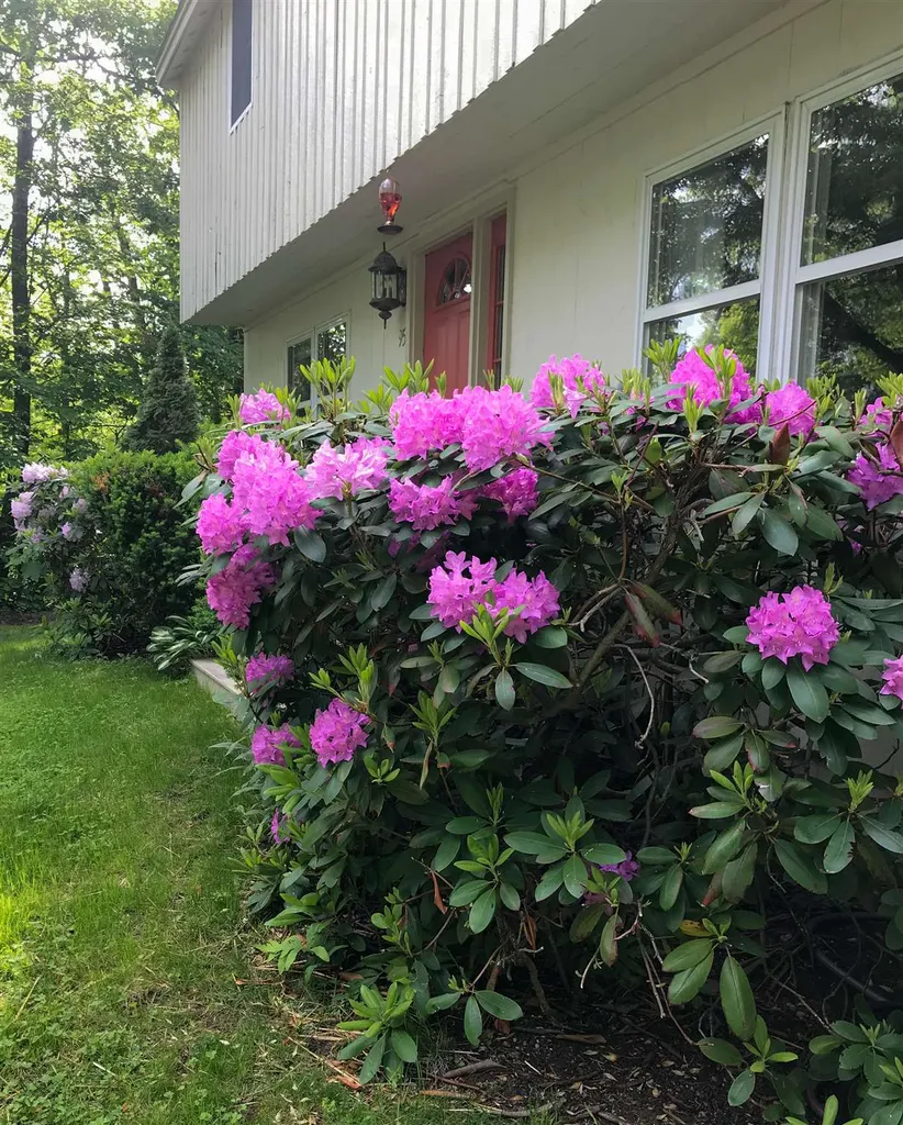 954 Parker Mountain Road Strafford NH 03884